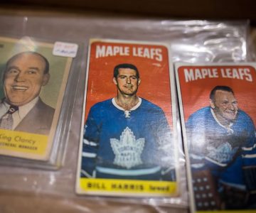 Maple Leafs hockey cards at Reinhart Auctions. Photo by James MacDonald.