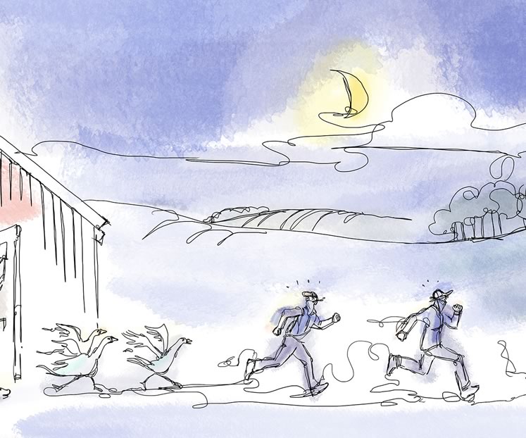 No Cause for Alarm In The Hills