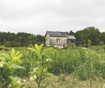 Sara Sniderhan and Peter Mitchell’s off-grid home looks over a lush 22-acre property near Creemore. The artists (and now farmers) built it after moving here in 2013. Photo by Erin Fitzgibbon.