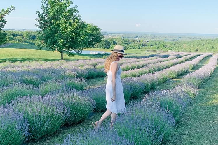 A visitor takes in the epic view at Purple Hill Lavender in Mulmur. Photo courtesy Emma Courtney.