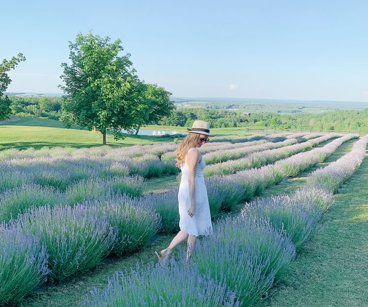 A visitor takes in the epic view at Purple Hill Lavender in Mulmur. Photo courtesy Emma Courtney.