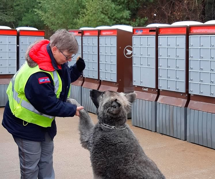 On her last day as a rural mail carrier, Connie Tersigni bade farewell to Beau, who would miss his treats. Photo by Bernie Rochon.
