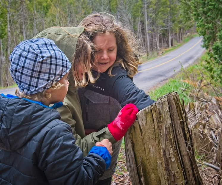 From left, brothers Leif, Waverly and Xavier discover a cache in a hollowed out tree trunk. Photo by Fred Webster.