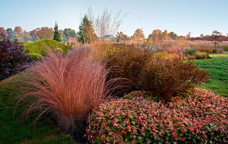 The garden's fall colours range from lime green to cherry red. Photo by Rosemary Hasner / Black Dog Creative Arts.