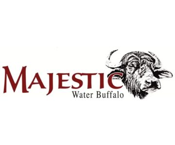 Majestic Water Buffalo