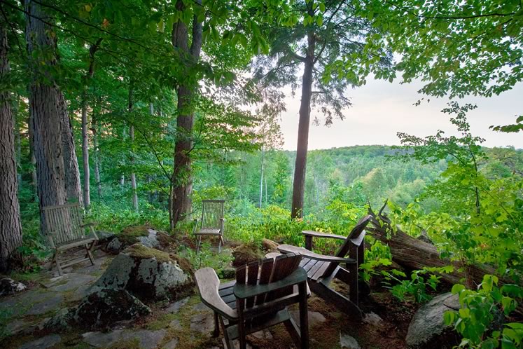 At the back of the property, a rustic patio on the cliff’s edge overlooks the Credit valley. Moss and ferns are among the native woodland plants growing wild between the rocks, including Jack-in-the-pulpit and trilliums. Photo by Rosemary Hasner / Black Dog Creative Arts.