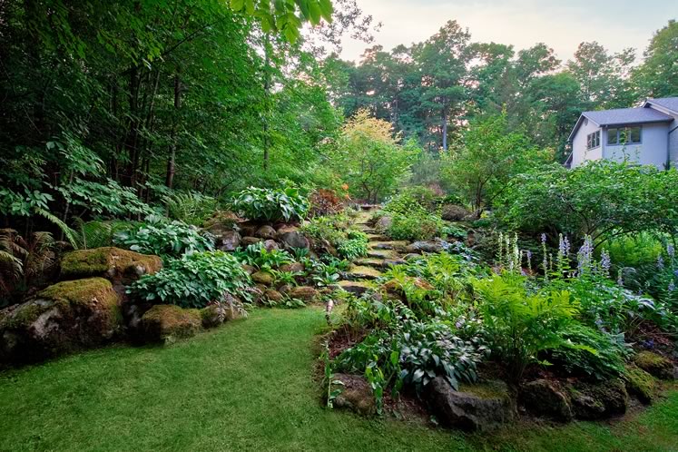 A stone stairway in Susanne McRoberts’ front garden carves a swath through mossy boulders and verdant plantings that include hostas, ferns, false spirea, hellebores, lobelia and lady’s mantle. Eastern redbud and Amur maple trees stand at the top of the slope. Photo by Rosemary Hasner / Black Dog Creative Arts.