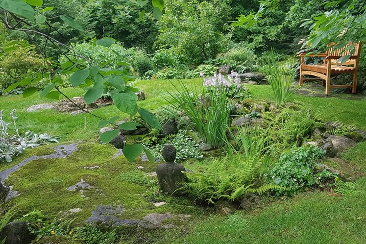 At the top of the rockery, a stone Buddha meditates next to a moss “pond” encircled by Siberian irises, hostas, wild ginger, spotted dead nettle, ferns and alpine lady’s mantle. Photo by Susanne McRoberts.