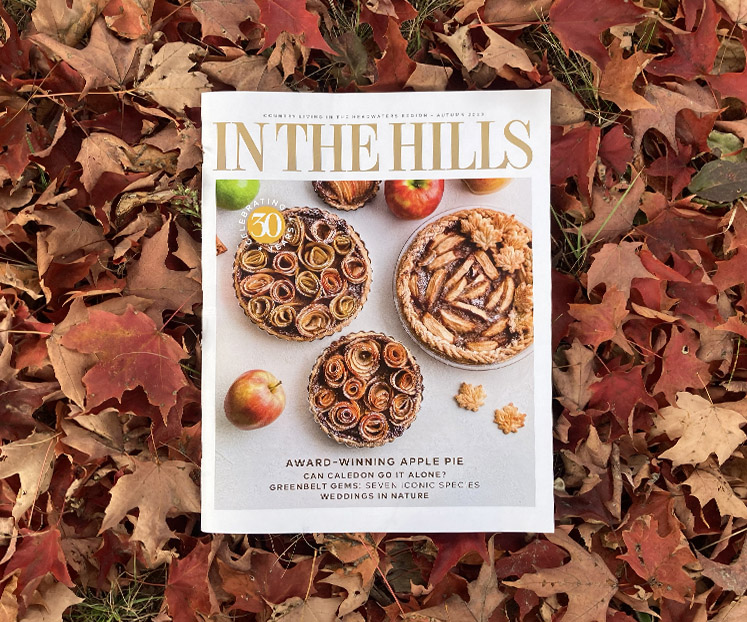 Autumn Leaves - In The Hills Magazine
