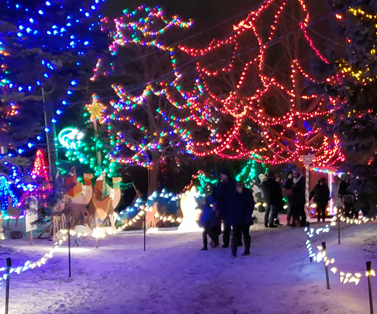 Kay Cee Gardens Christmas In The Park