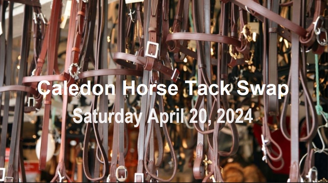 Caledon Horse Tack Swap In The Hills
