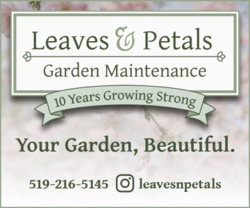 Leaves and Petals Garden Maintenance