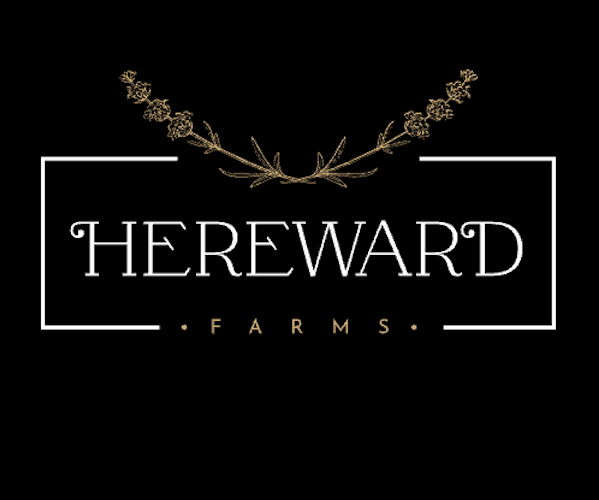 Hereward Lavender Farm