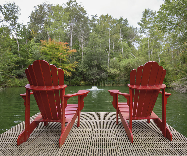 country homes caledon