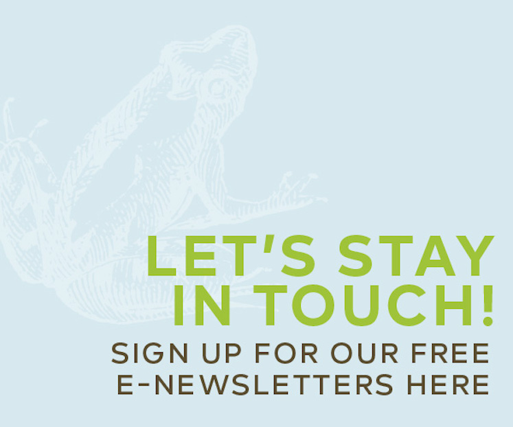 In The Hills Newsletter