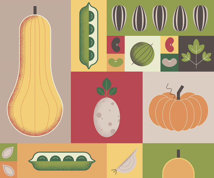 preparing garden for winter