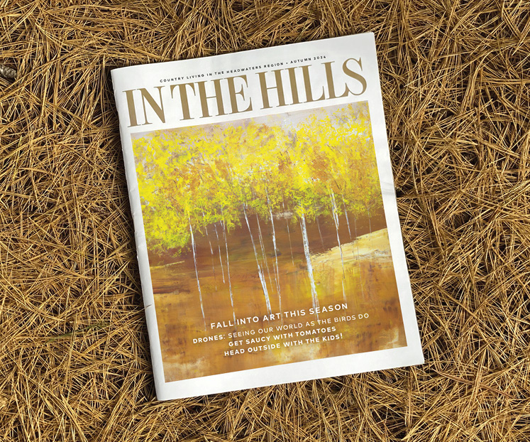 in the hills autumn 2024