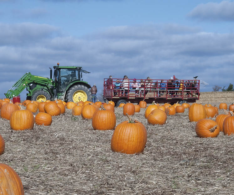 maple grove halloween