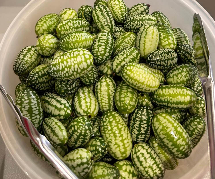 cucamelon