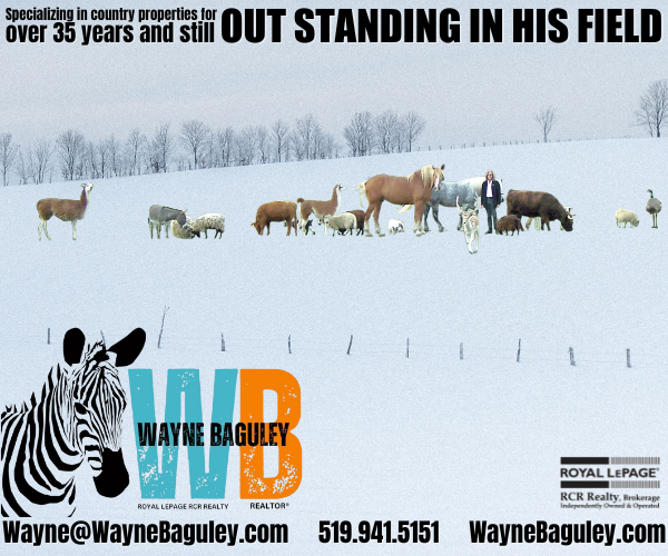 wayne baguley real estate