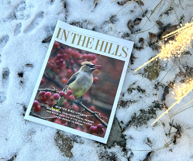 In The Hills Winter
