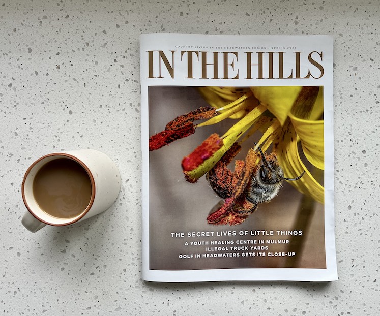 In The Hills Magazine Spring 2025
