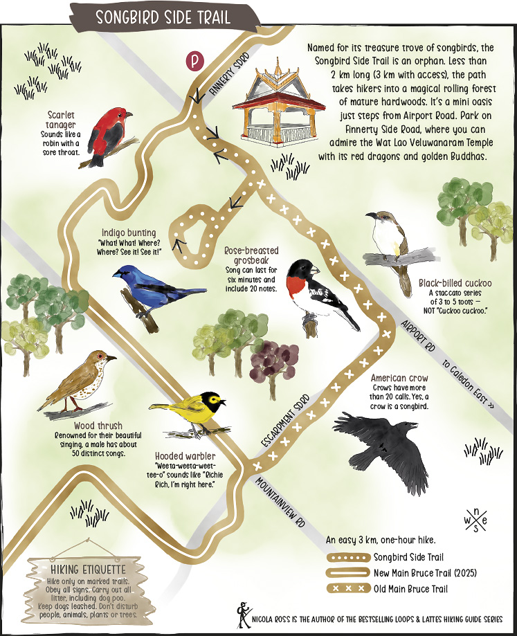 songbird side trail
