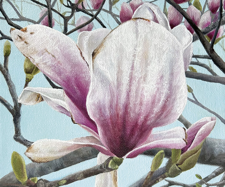susia cattedra artist
