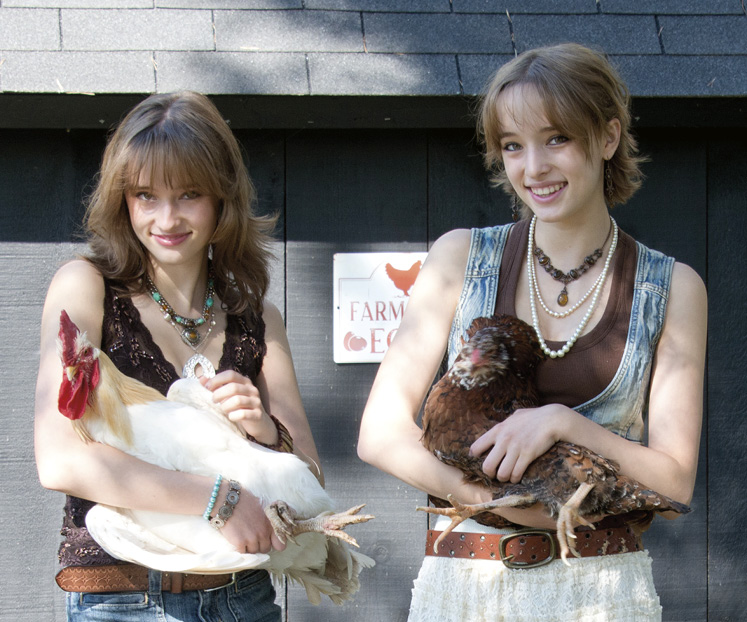 backyard chickens caledon