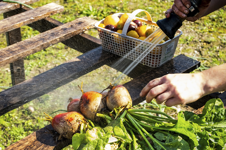 Lennox farm