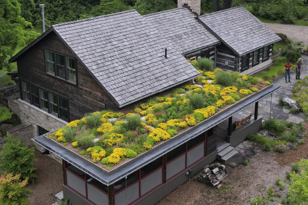 green roof Tony Spencer