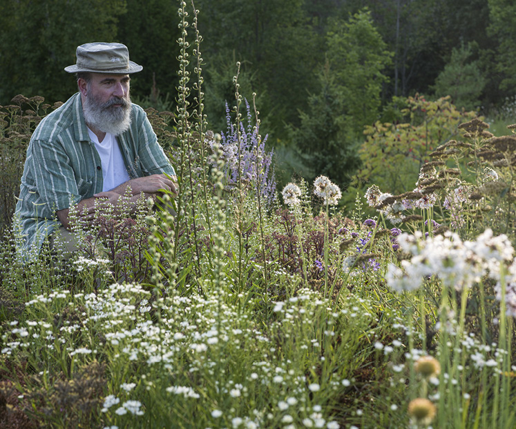 green roof Tony Spencer