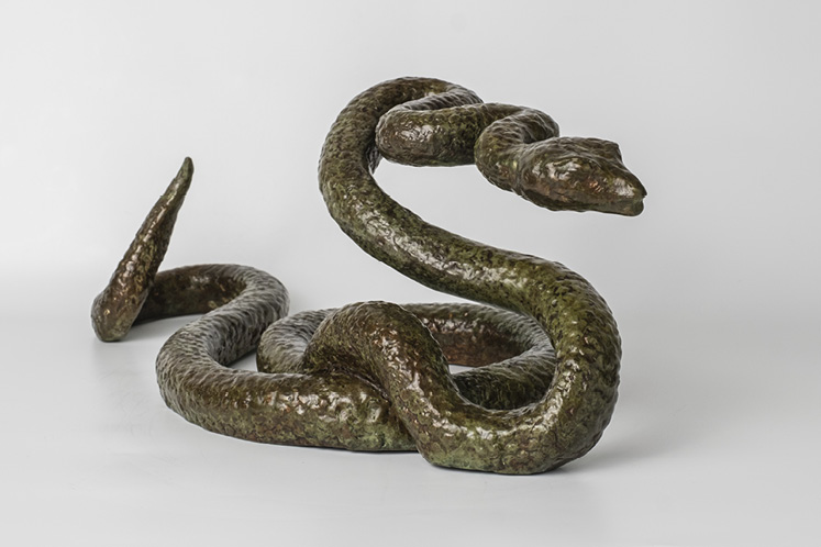 John farrugia snakes