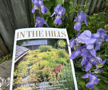 in the hills magazine orangeville