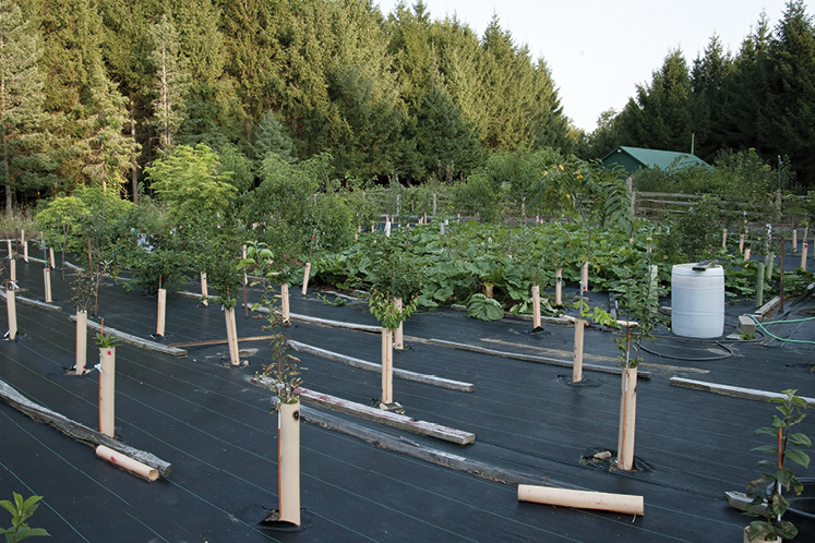 gardening mono ontario