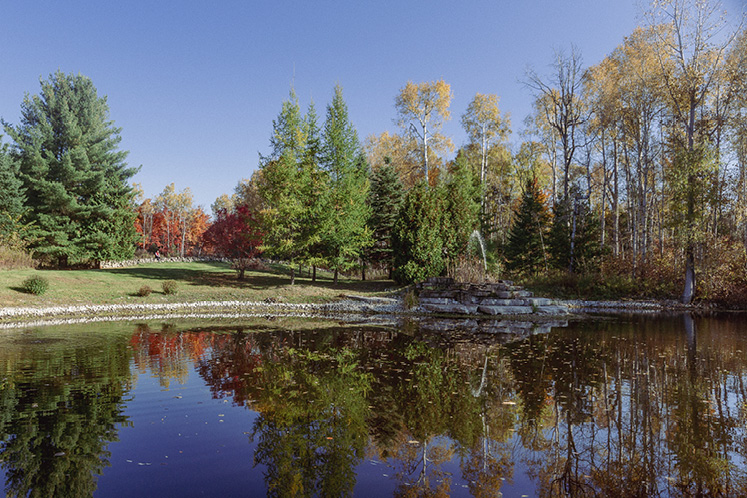 caledon real estate