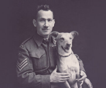 Dog of war