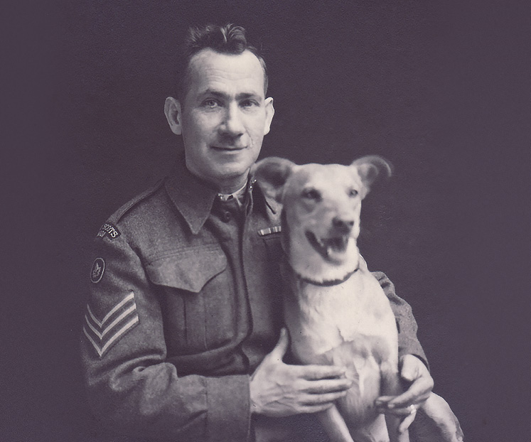 Dog of war