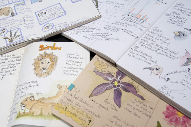 nature journalling