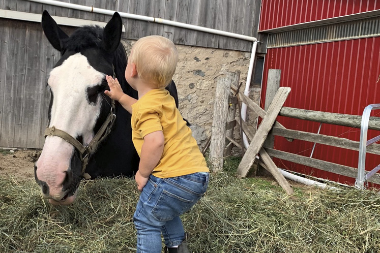 dufferin farm tour