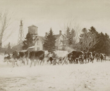 historic photos Shelburne ontario