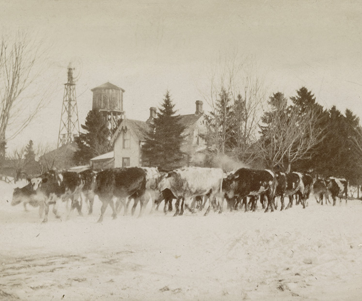 historic photos Shelburne ontario
