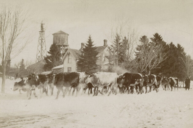 Shelburne ontario history