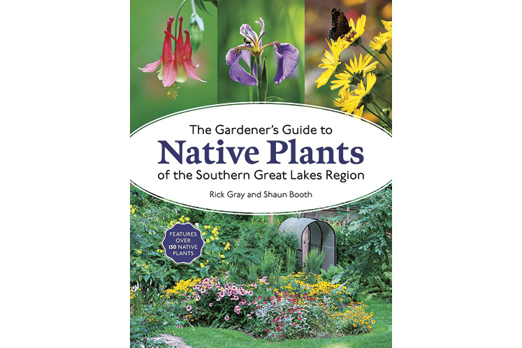 native plants of southern Great Lakes 