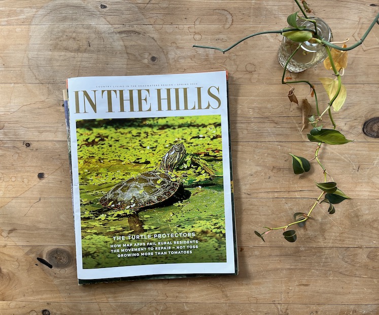 in the hills magazine