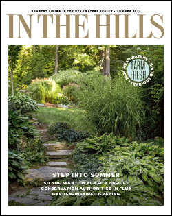 in the hills magazine