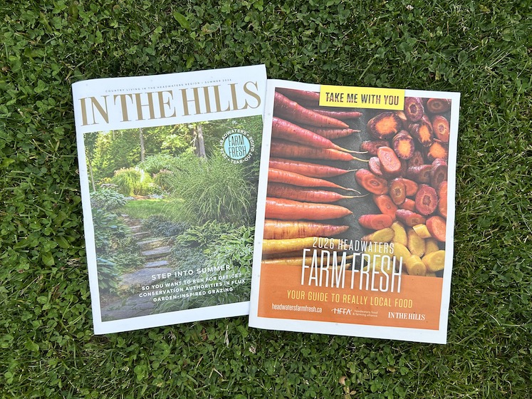 in the hills magazine