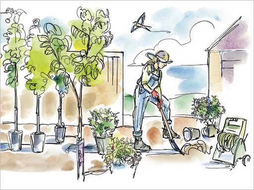 perennial gardens