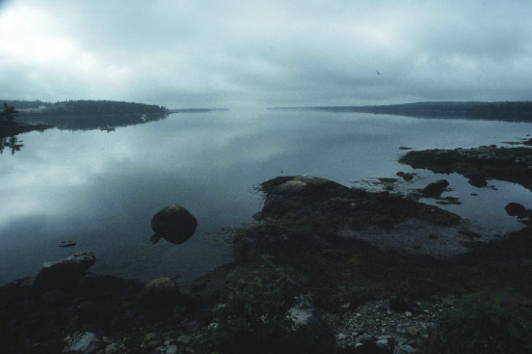 connie munson photography