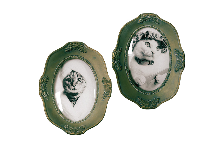 AI cat portrait
